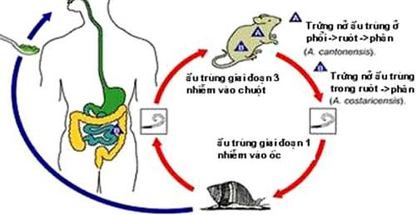 Kết quả tìm kiếm từ khóa 